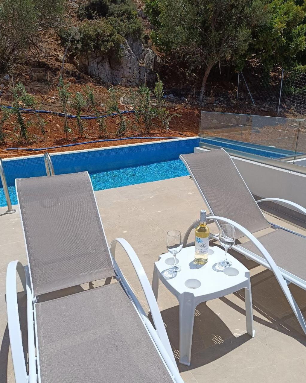 Isabel Artemis Crete - Luxury Sea Views Villas Nopigia エクステリア 写真